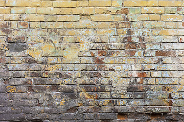 Image showing Colored Brick Wall