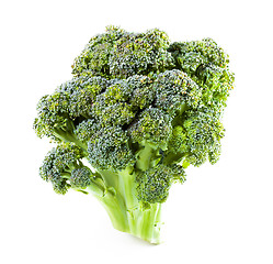 Image showing ?urd. Broccoli closeup