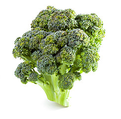 Image showing ?urd. Broccoli closeup