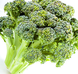 Image showing ?urd. Broccoli closeup