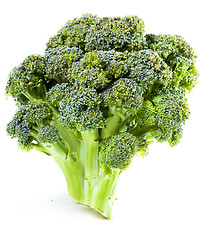 Image showing ?urd. Broccoli closeup