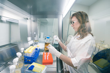 Image showing Life scientist researching in the laboratory.