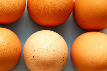 Image showing Fresh eggs