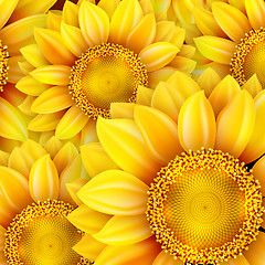 Image showing Sunflower high quality illustration. EPS 10