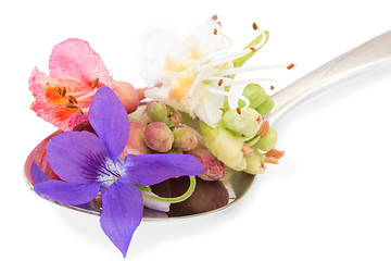 Image showing Bach flowers on a spoon