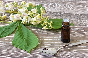 Image showing Bach flower remedies of white chestnut