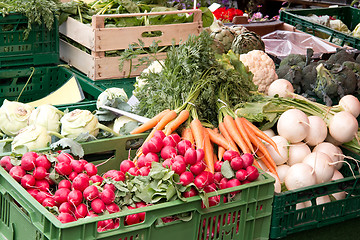 Image showing Fresh vegetables from market