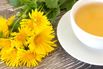 Image showing Cough tea with coltsfoot