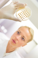 Image showing Scientist observing petri dish.