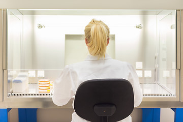 Image showing Life scientist researching in the laboratory.