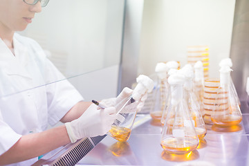 Image showing Life science researcher grafting bacteria.