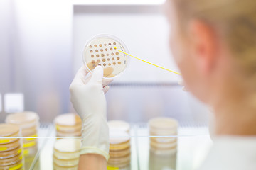 Image showing Scientist observing petri dish.