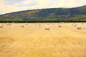 Image showing Hay bails on the field