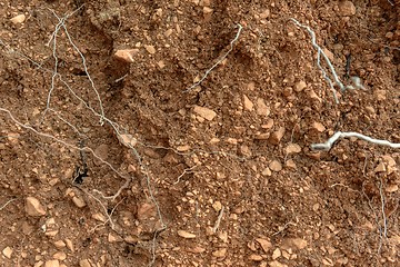 Image showing Rocks and Stones as a Background