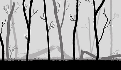 Image showing forest in the dark mist, trees silhouettes
