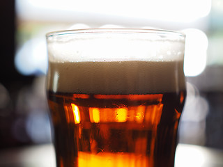 Image showing Pint of beer