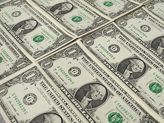 Image showing Dollar notes 1 Dollar