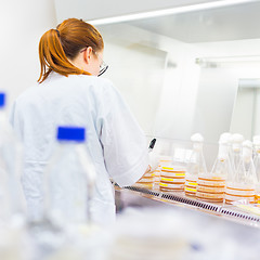 Image showing Life scientist researching in the laboratory.