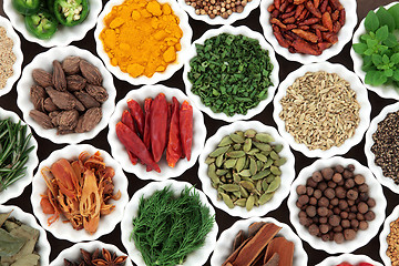 Image showing Herb and Spice Food Selection