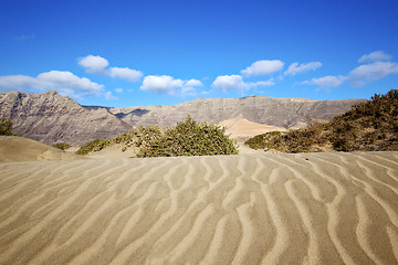 Image showing abstract yellow dune beach  hil and mountain in the   lanzarote 