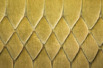 Image showing Old sofa texture