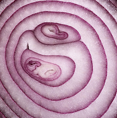 Image showing sliced shallot