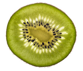 Image showing sliced Kiwifruit