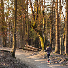 Image showing Woman hiking in nature. 