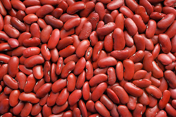 Image showing Dried red kidney beans background