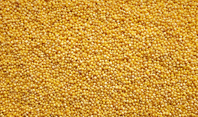 Image showing Millet grains background