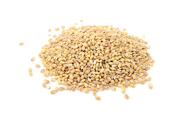 Image showing Pearl barley grains