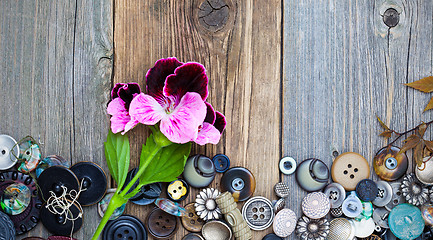 Image showing vintage buttons with a geranium flower