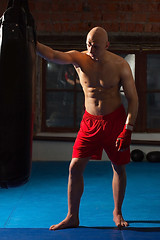 Image showing fighter adjusted by sparring