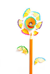 Image showing one pencil flower