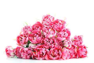 Image showing pink tulips