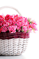 Image showing pink tulips