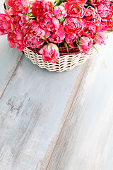 Image showing pink tulips