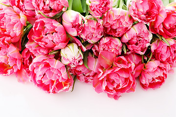 Image showing pink tulips