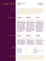 Image showing Simplistic curriculum vitae resume template with purple stripe