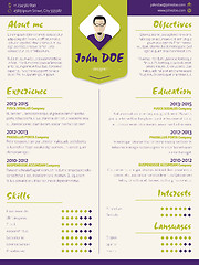 Image showing Colorful modern resume curriculum vitae template with design ele