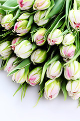 Image showing bunch of tulips