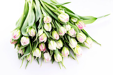 Image showing bunch of tulips