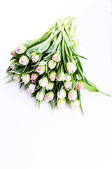 Image showing bunch of tulips