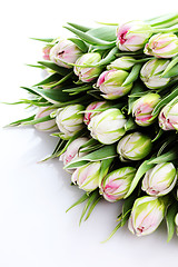 Image showing bunch of tulips