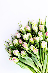 Image showing bunch of tulips