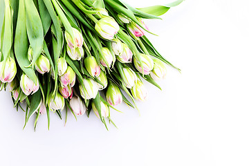 Image showing bunch of tulips