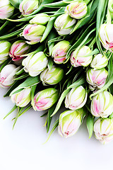 Image showing bunch of tulips