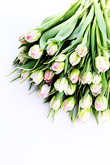 Image showing bunch of tulips