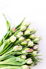 Image showing bunch of tulips