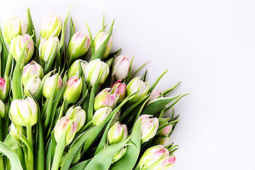 Image showing bunch of tulips